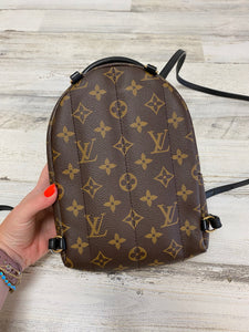 Louis Vuitton Mini Palm Springs backpack