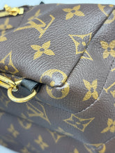 Load image into Gallery viewer, Louis Vuitton Mini Palm Springs backpack