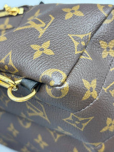 Louis Vuitton Mini Palm Springs backpack