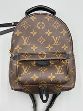Load image into Gallery viewer, Louis Vuitton Mini Palm Springs backpack