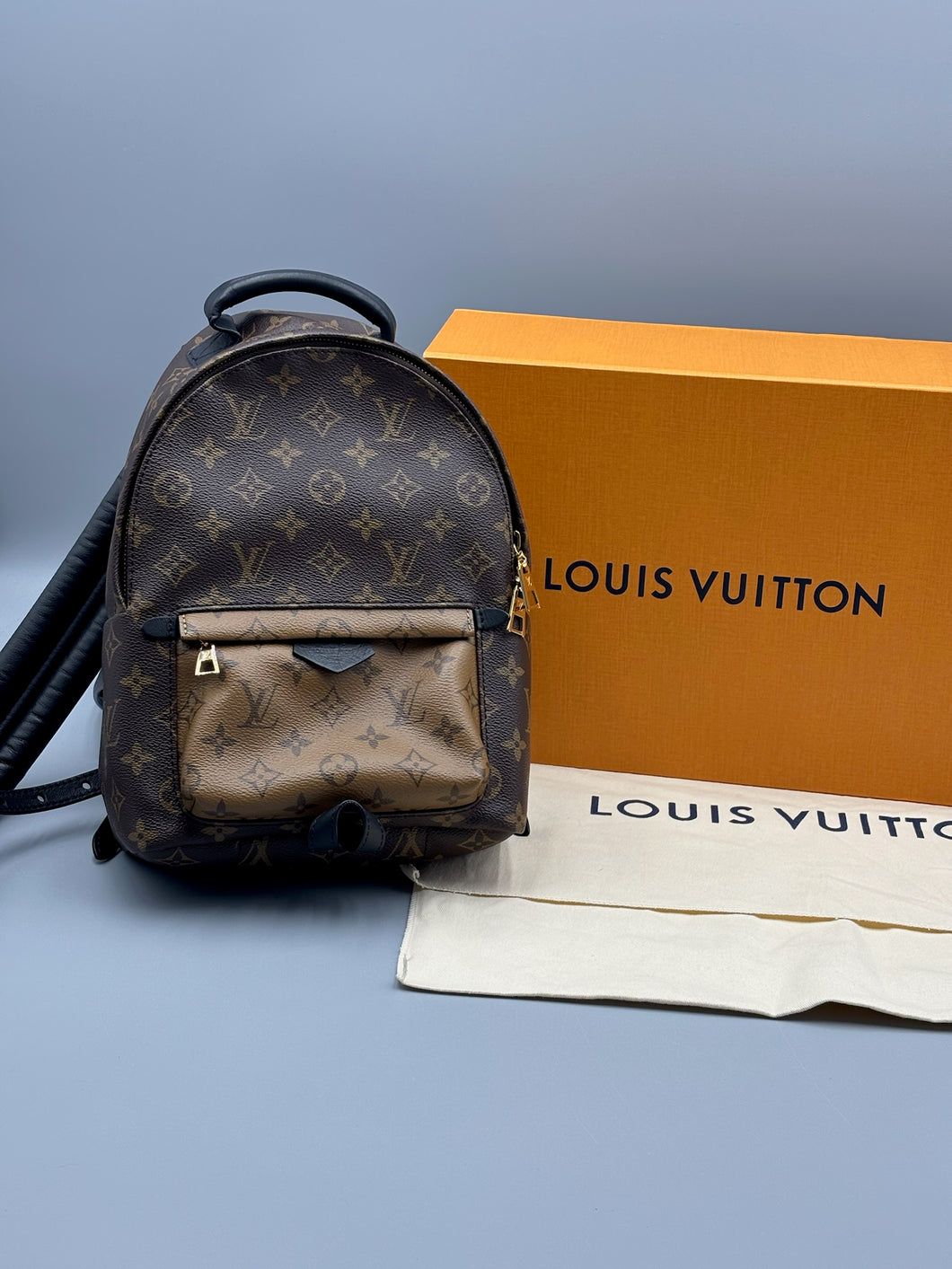 Louis Vuitton Palm Springs PM reverse monogram backpack