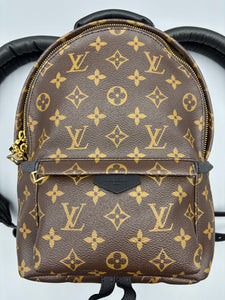 Louis Vuitton Palm Springs PM monogram backpack