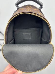 Louis Vuitton Mini Palm Springs backpack
