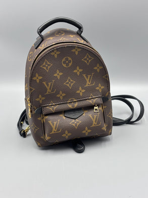 Louis Vuitton Mini Palm Springs backpack