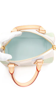 Louis Vuitton Speedy 20 Pistachio damierlicious bandouliere with strap