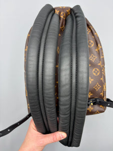 Louis Vuitton Palm Springs PM monogram backpack