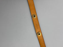 Load image into Gallery viewer, Louis Vuitton Florentine pochette waistbag