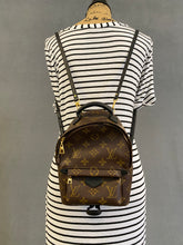 Load image into Gallery viewer, Louis Vuitton Palm Springs mini monogram backpack