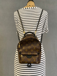 Louis Vuitton Palm Springs mini monogram backpack