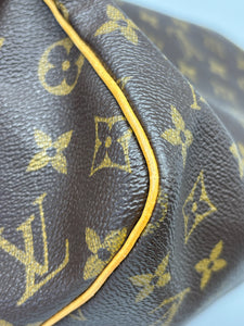 Louis Vuitton Speedy 30 monogram