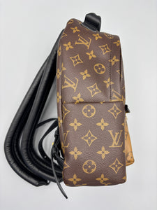 Louis Vuitton Palm Springs PM reverse monogram backpack
