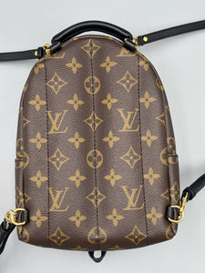 Louis Vuitton Mini Palm Springs backpack