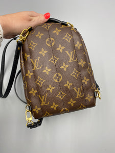 Louis Vuitton Palm Springs mini monogram backpack
