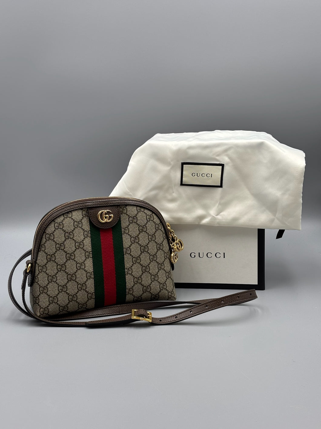 Gucci Ophidia Dome crossbody
