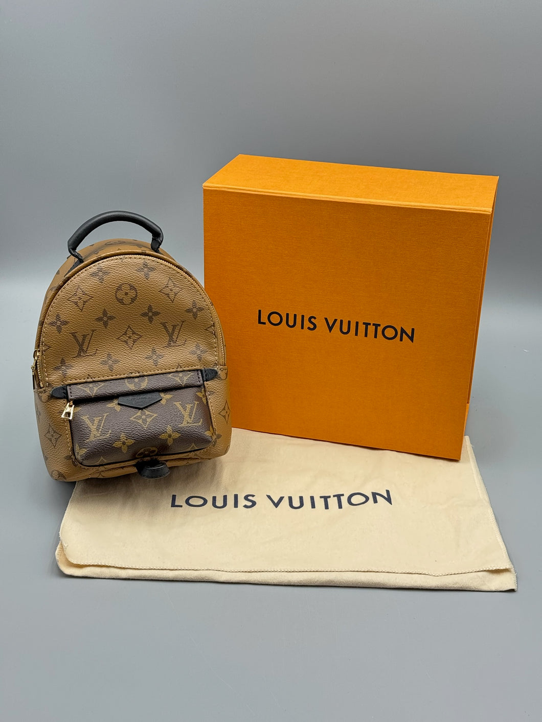 Louis Vuitton Mini Palm Springs backpack reverse monogram (newer version)