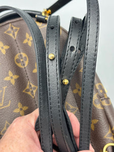 Louis Vuitton Mini Palm Springs backpack