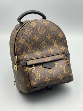 Louis Vuitton Mini Palm Springs backpack (newer version)