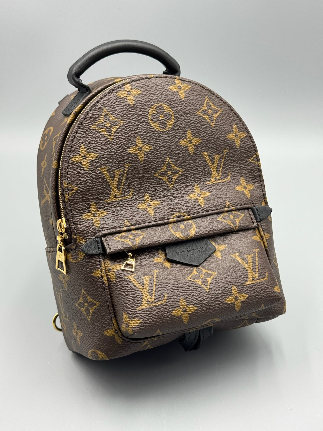 Louis Vuitton Mini Palm Springs backpack (newer version)