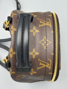 Louis Vuitton Mini Palm Springs backpack