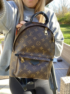 Louis Vuitton Palm Springs PM monogram backpack