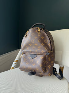 Louis Vuitton Palm Springs PM monogram backpack