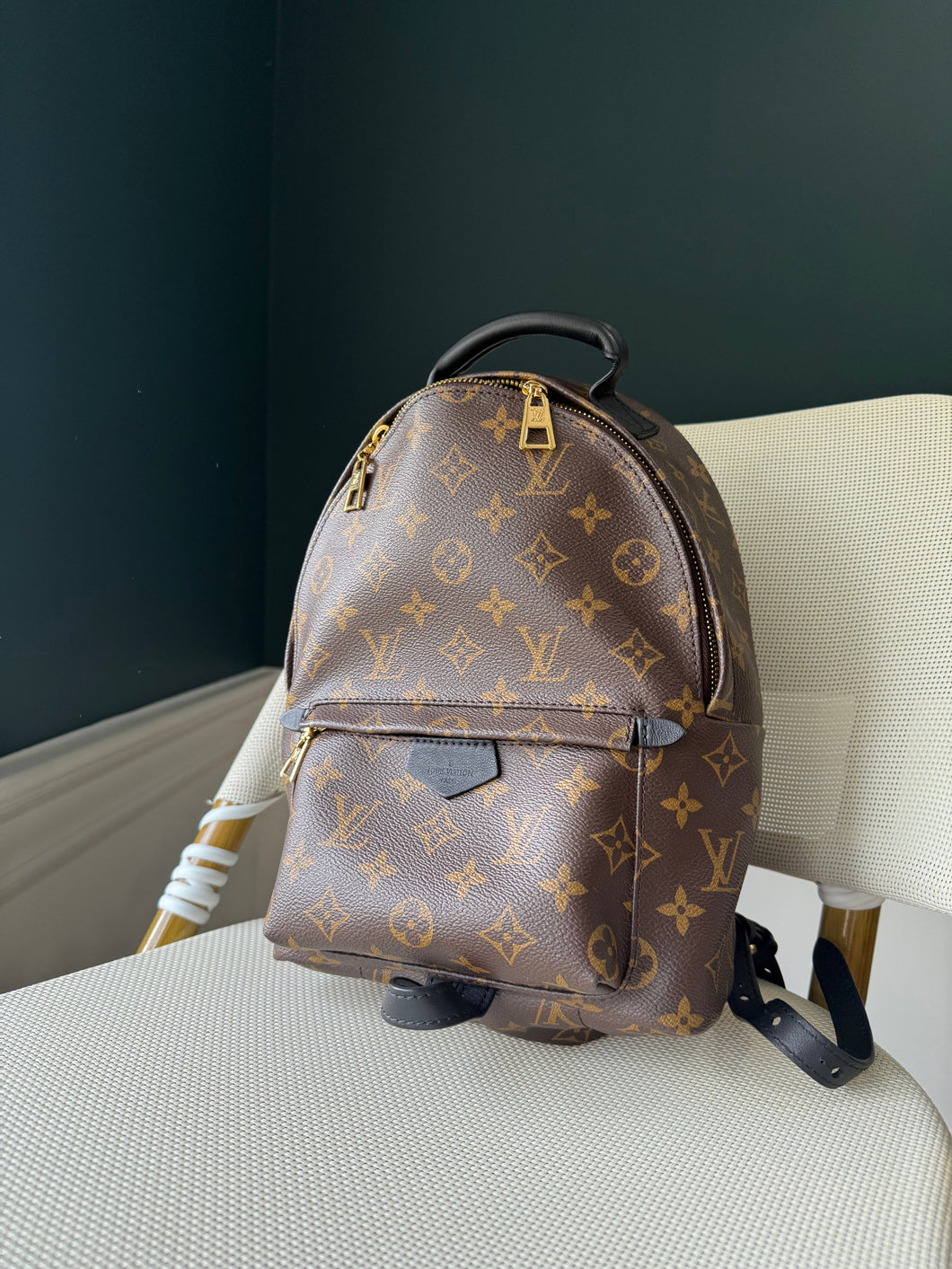 Louis Vuitton Palm Springs PM monogram backpack