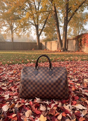 Louis Vuitton Speedy 35 ebene