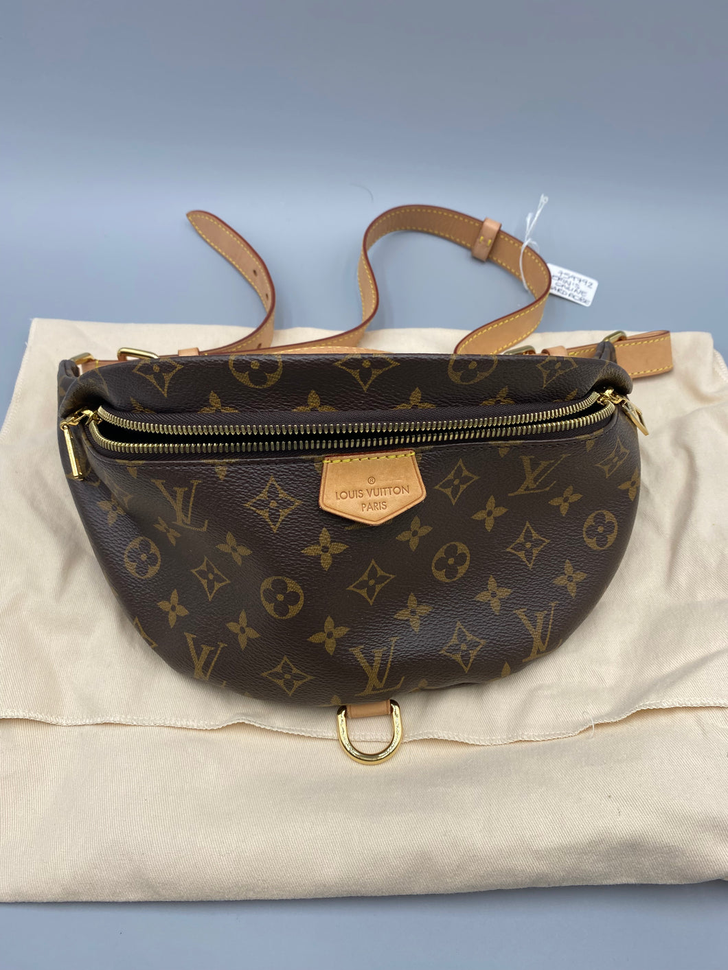 Louis Vuitton Bum Bag monogram